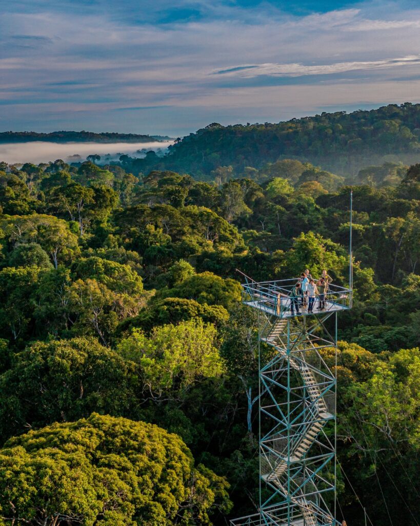 Cristalino Lodge, Observation Tower - Brazilian Amazon
