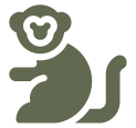 icone-macaco-amazon-rainforest