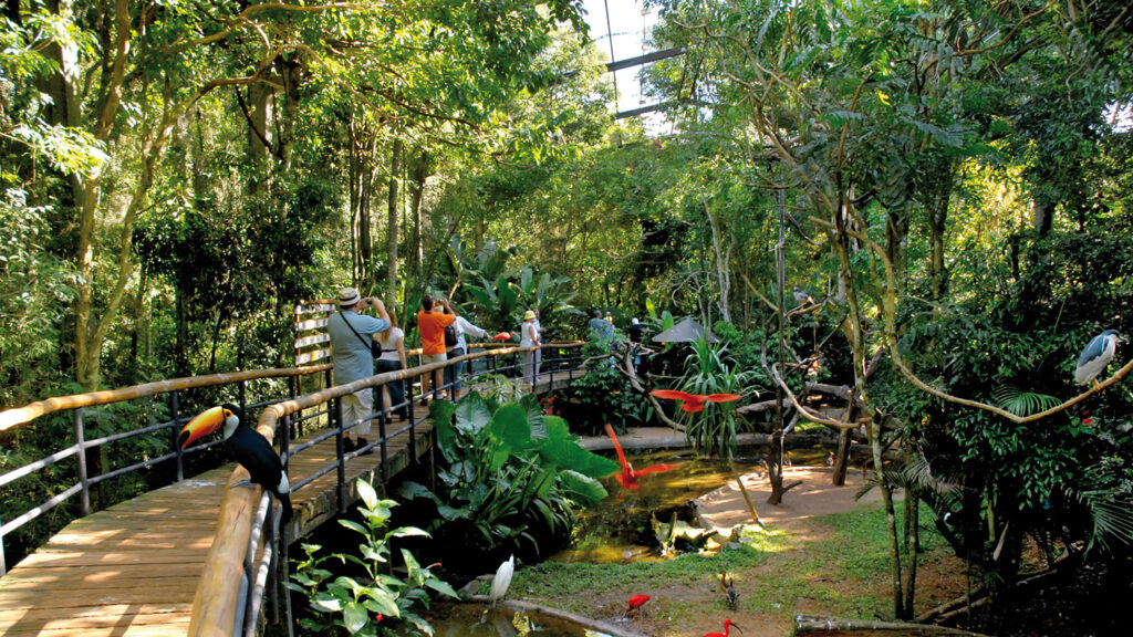 passaros-foz-do-iguacu