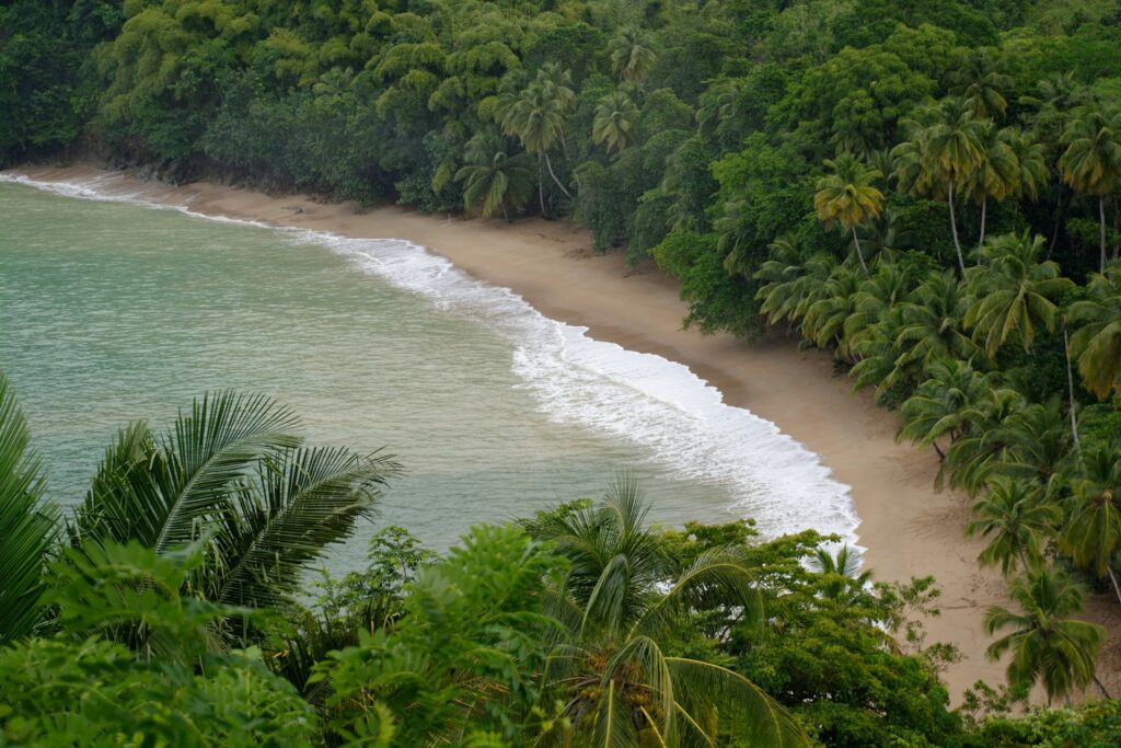 Atlantic Rainforest Beachs