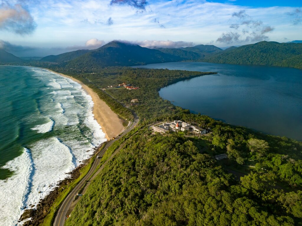 Atlantic Rainforest - SC