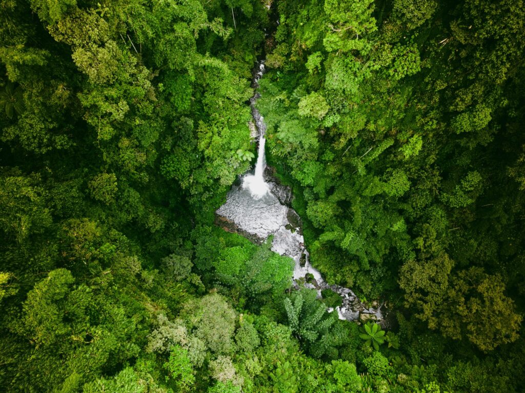 Atlantic Rainforest - Waterfalls