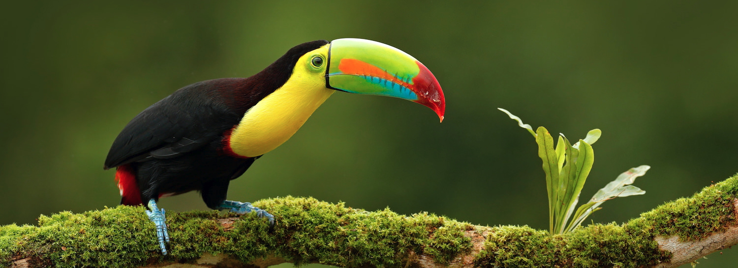 Costa Rica