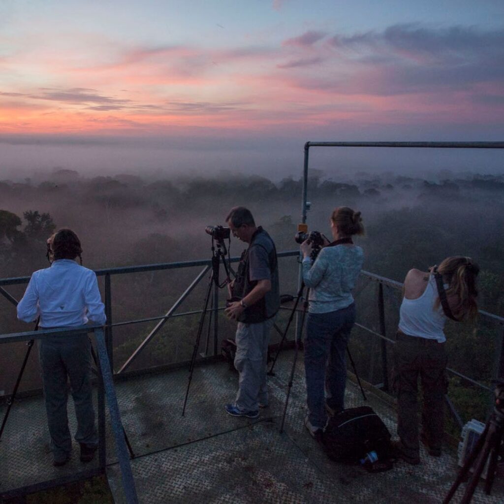 amazonia-home