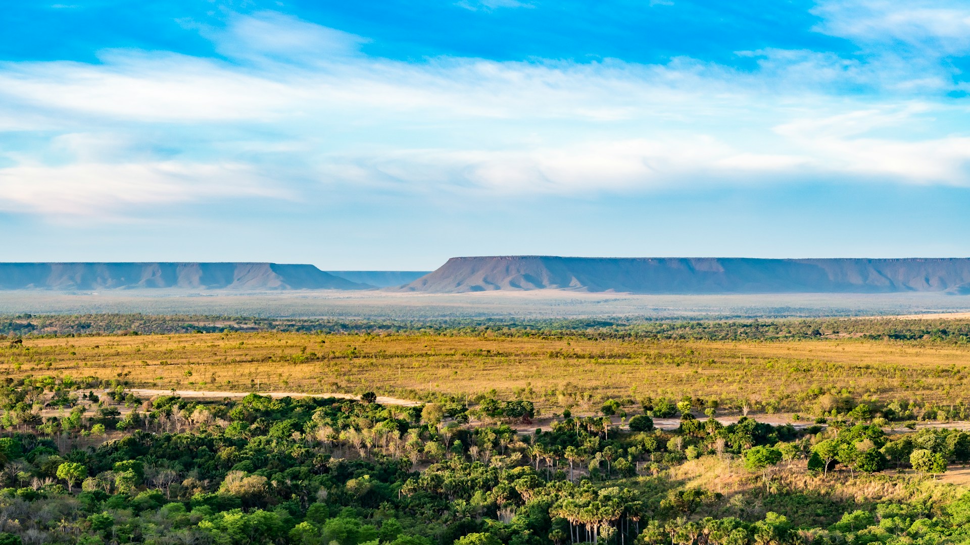 Cerrado Brazil