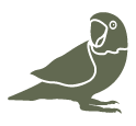 icone-arara-bonito
