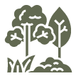 icone-floresta-itacare
