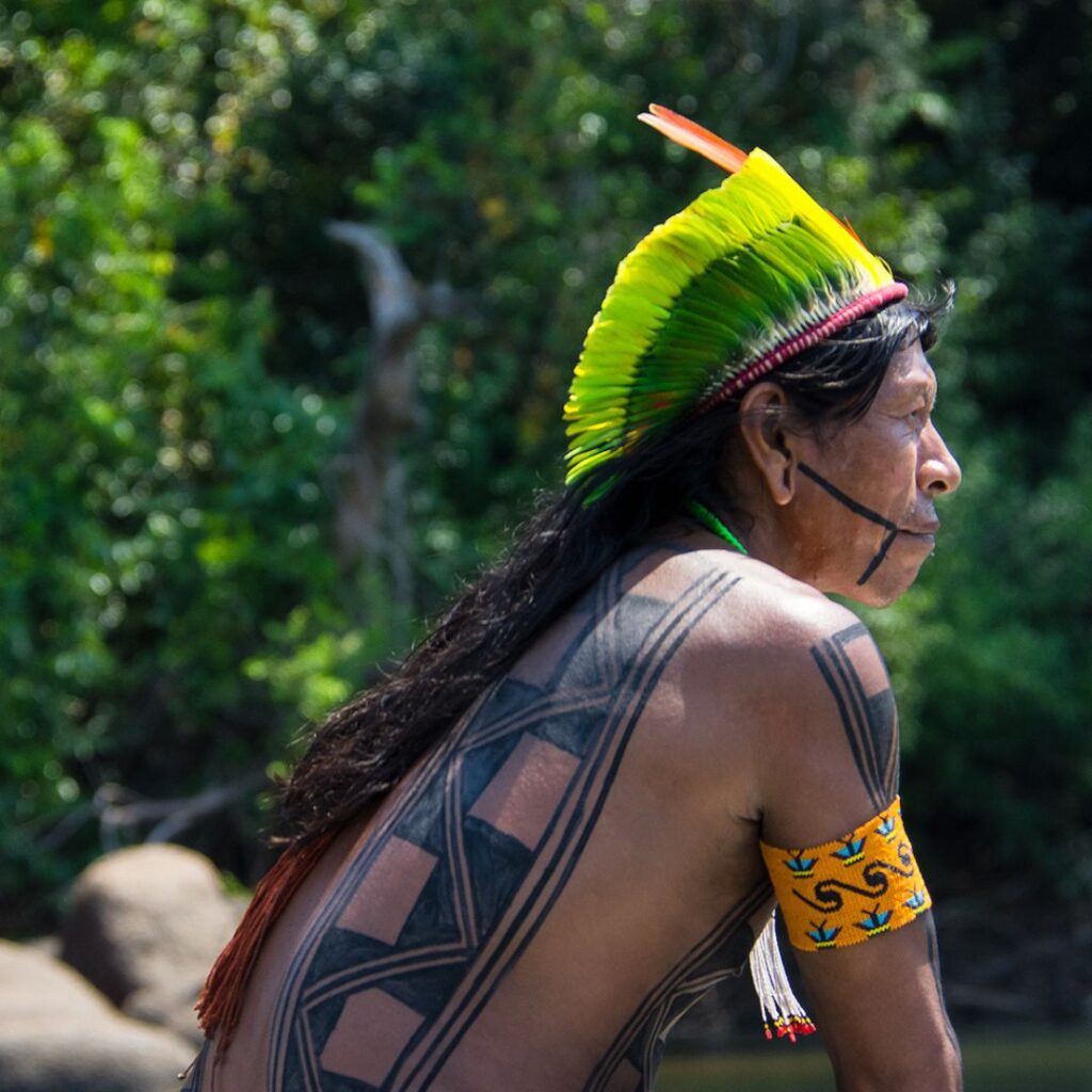 indigena-home