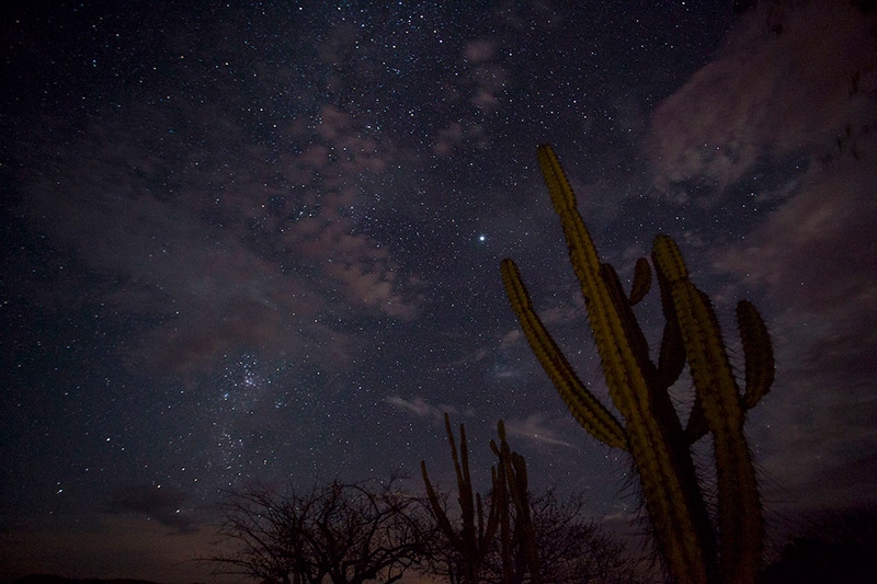 Caatinga Nature Serra Mandacaru Sky Night Landscape Caatinga Nature Serra Mandacaru Sky Night Landscape