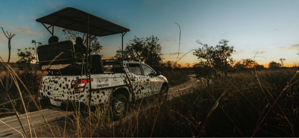 Cerrado Trijunção onçafari car sunset