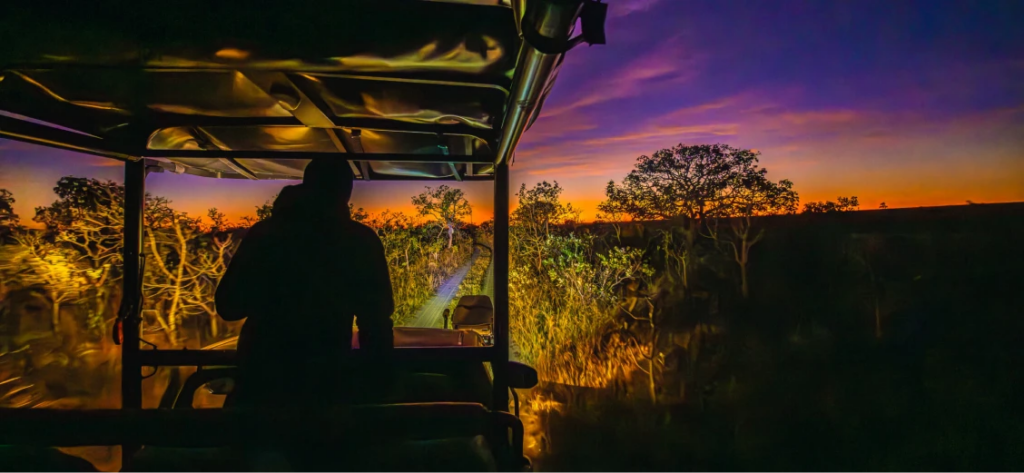 Cerrado Trijunção onçafari car twilight