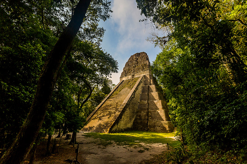 Guatemala Tikal pyramid between trees Guatemala Tikal pyramid between trees