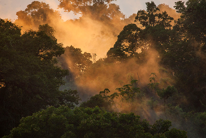 Brazil-Amazon-Nature-Smoke-Three-Three Brazil-Amazon-Nature-Smoke-Three-Three