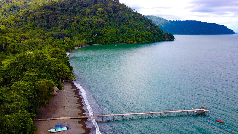 Costa-Rica-Rainforest-Landscapes-Sea-Fauna-Flora-Beaches-Coral-Reefs