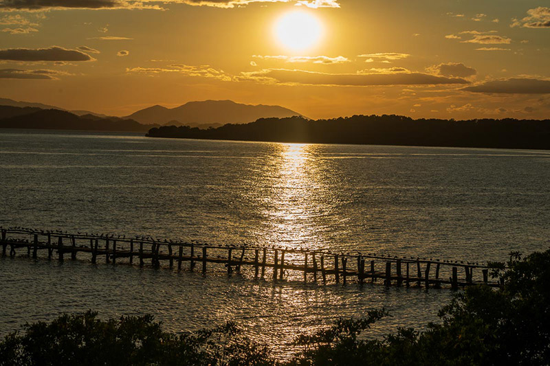 Costa-Rica-Rainforest-Landscapes-Sea-Fauna-Flora-Beaches