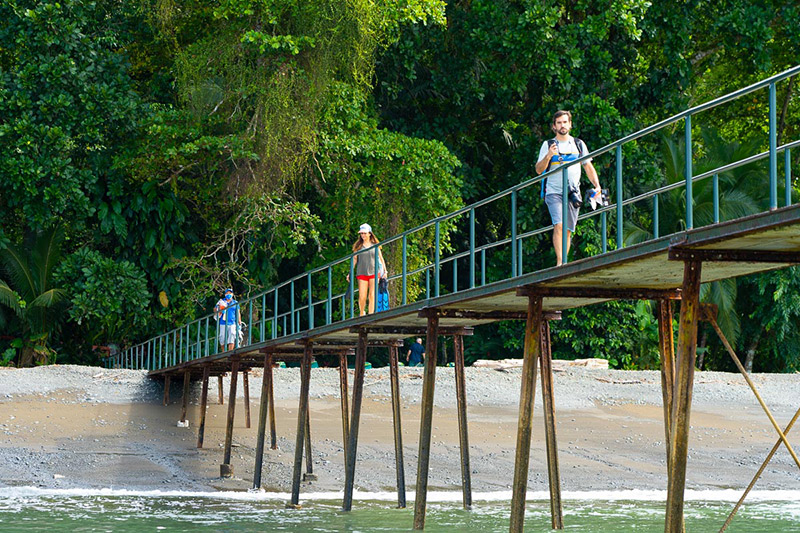 Costa-Rica-Rainforest-Landscapes-Sea-Fauna-Flora-Overwater-decks Costa-Rica-Rainforest-Landscapes-Sea-Fauna-Flora-Overwater-decks