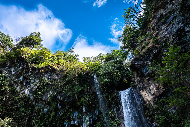 Costa-Rica-Rainforest-Landscapes-Sea-Fauna-Flora-Waterfall-Sky Costa-Rica-Rainforest-Landscapes-Sea-Fauna-Flora-Waterfall-Sky