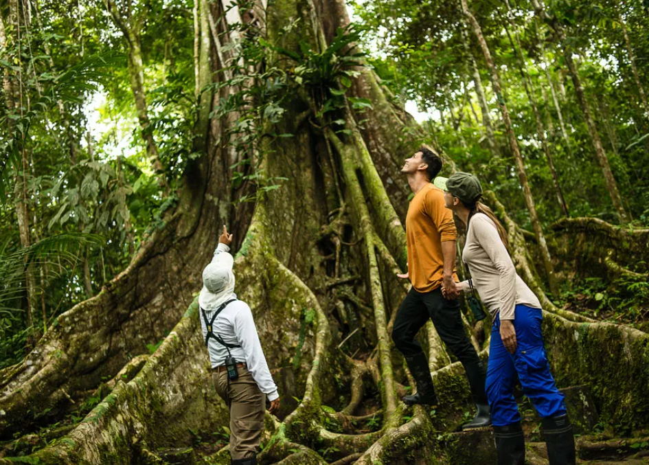 delfin ii trail walk peru amazon cruise delfin ii trail walk peru amazon cruise