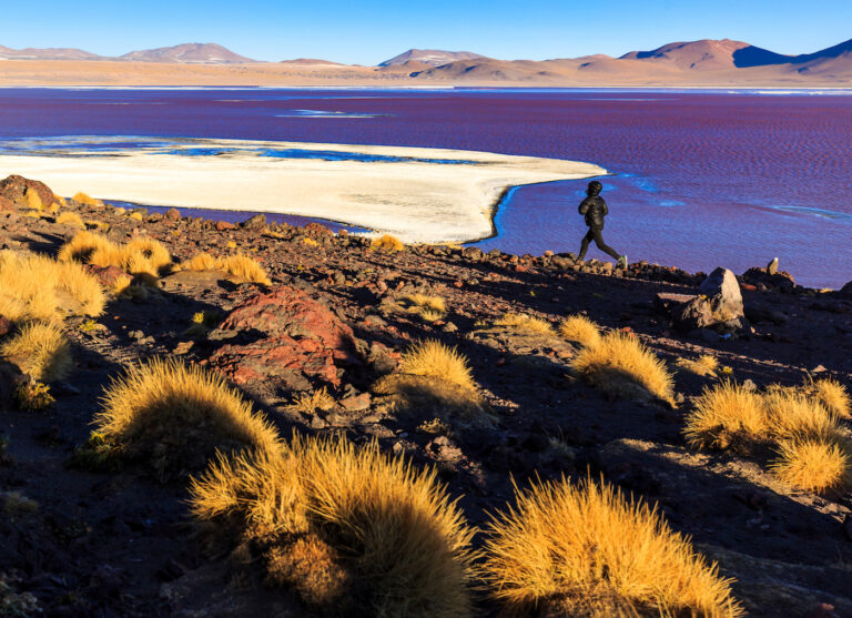 A tourist walking across Laguna Colorada at dusk.