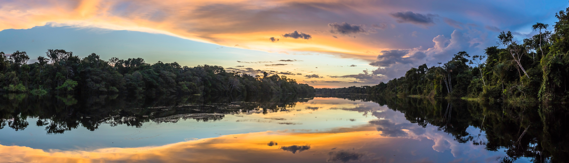 Amazon Rainforest Amazon Rainforest