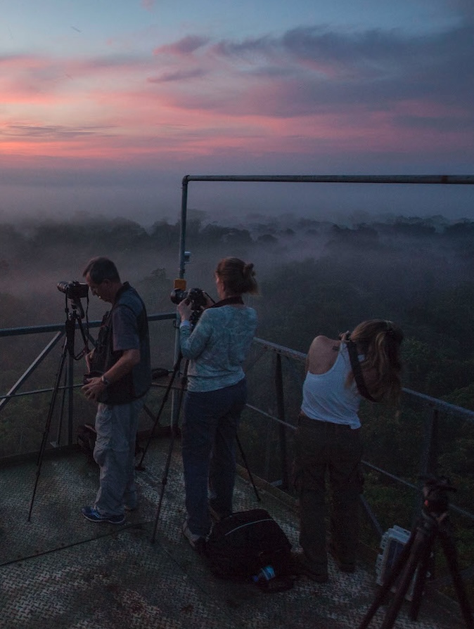 Observation Tower - The Amazon
