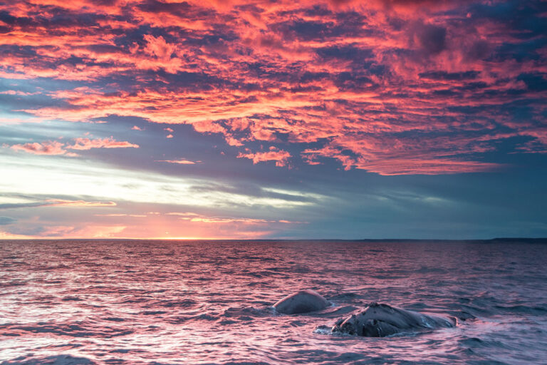 argentin_valdes-shutterstock-265381994-mar-por-do-sol-baleias-oceano