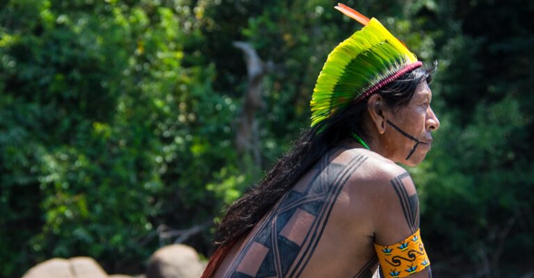 banner-kayapo