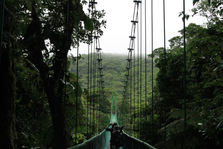 costa-rica-angela-erick-cwhaw_tjk7q-unsplash-scaled