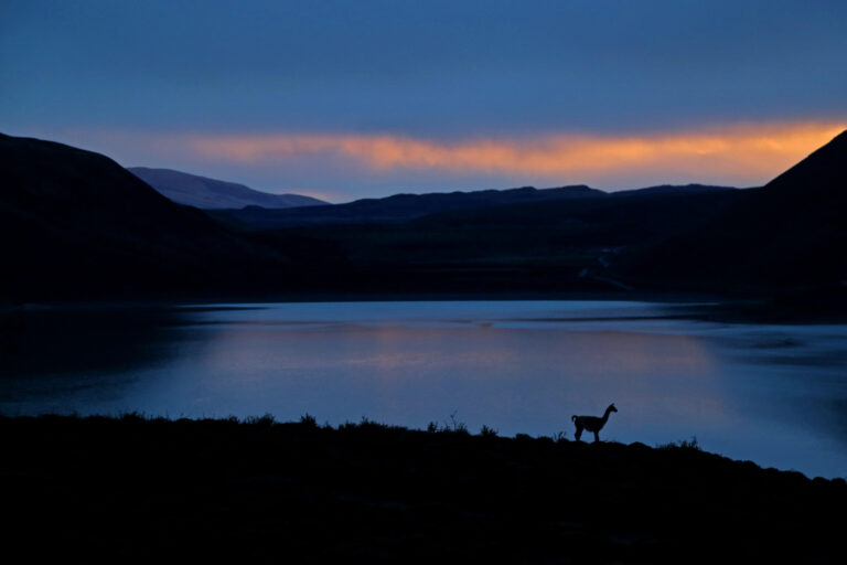 patagonia_jmr_0009