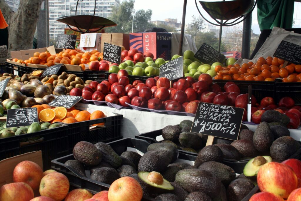 santiago-de-chile-food-market-rebecca-hausner-9-zh6wxgk8-unsplash-scaled