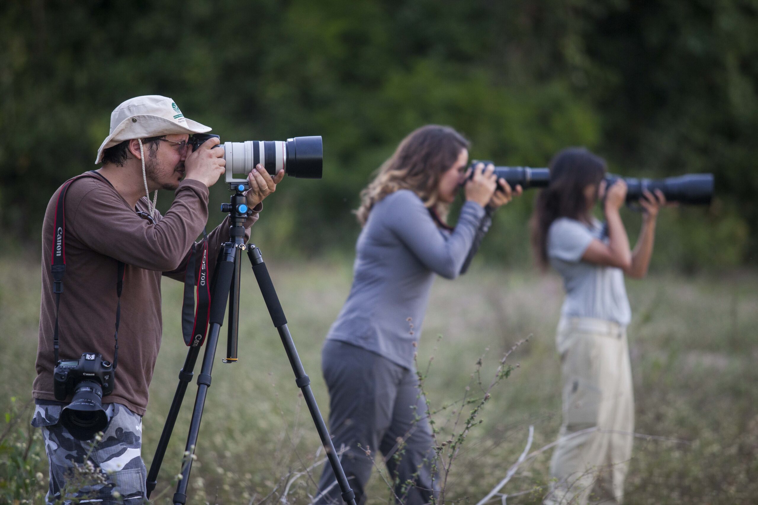 sq-20-pantanal-jmr sq-20-pantanal-jmr