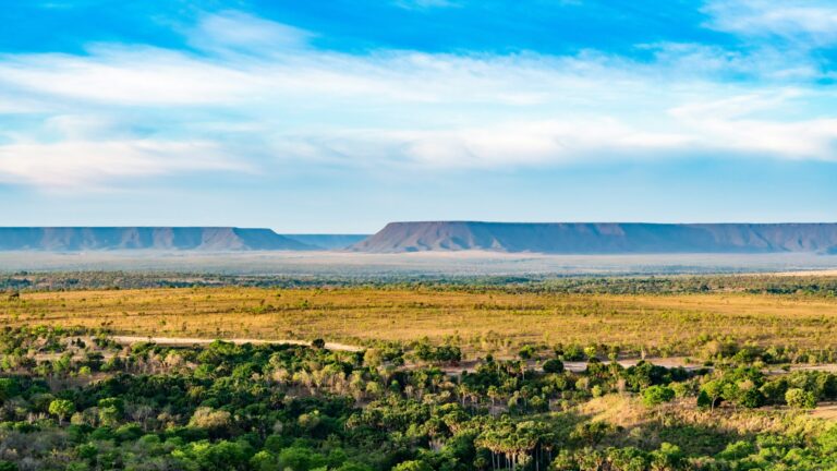 tocantins-jalapao-cerrado-brazil-charles-betito-filho-vwc-s_rikpa-unsplash-scaled