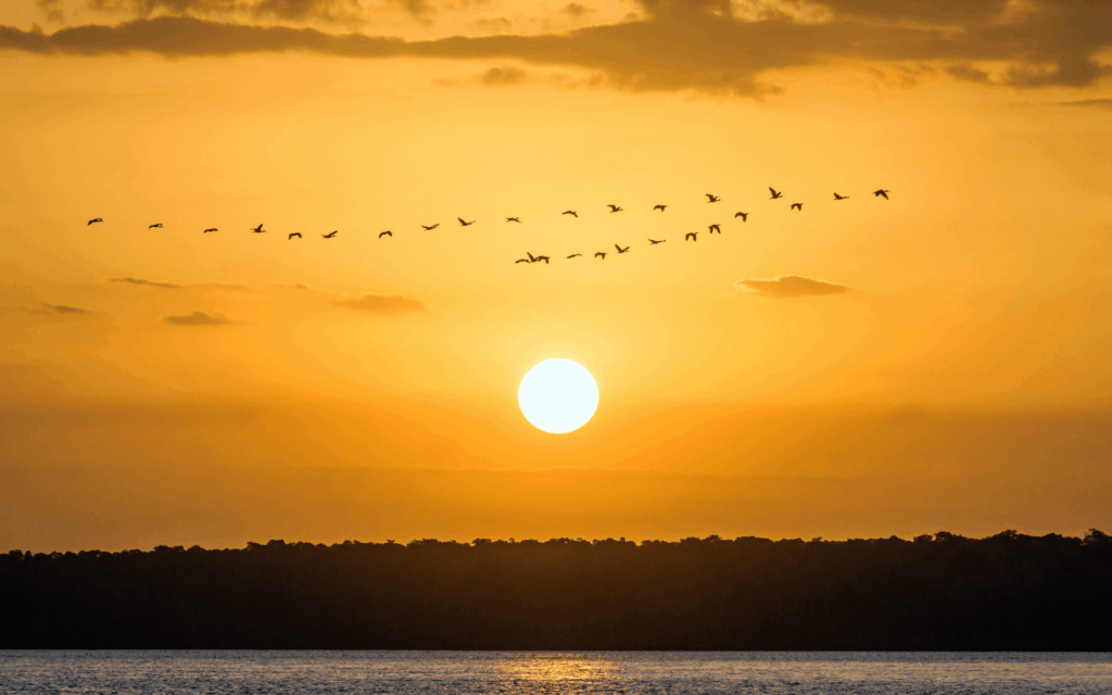 Lençóis Maranhenses
