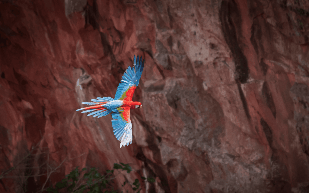 The Macaw Sinkhole