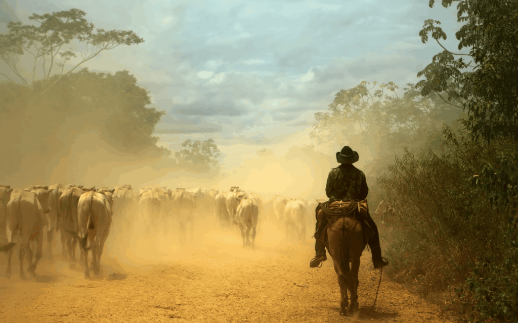 Pantanal