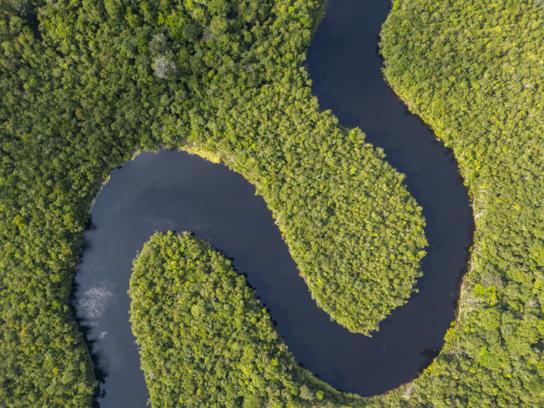 Amazon River / iStock