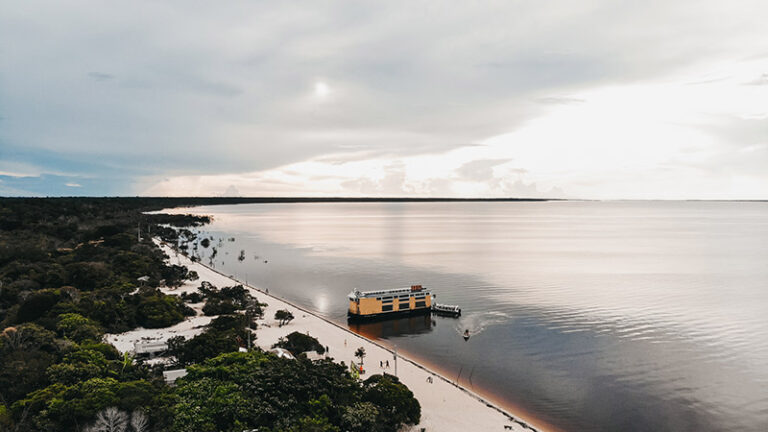 Untamed Amazon